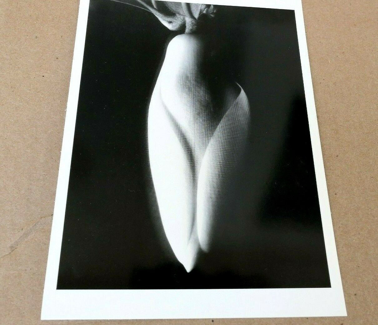 Magnolia bud 1920 photograph by imogen cunningham postcard ic 1 floral design