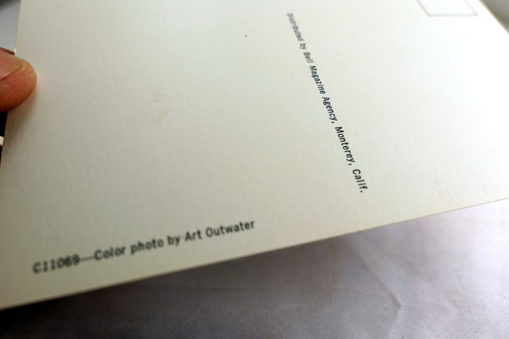 Ice Plant Seascape Ocean Landscape Pacific Grove California USA Postcard 1970's