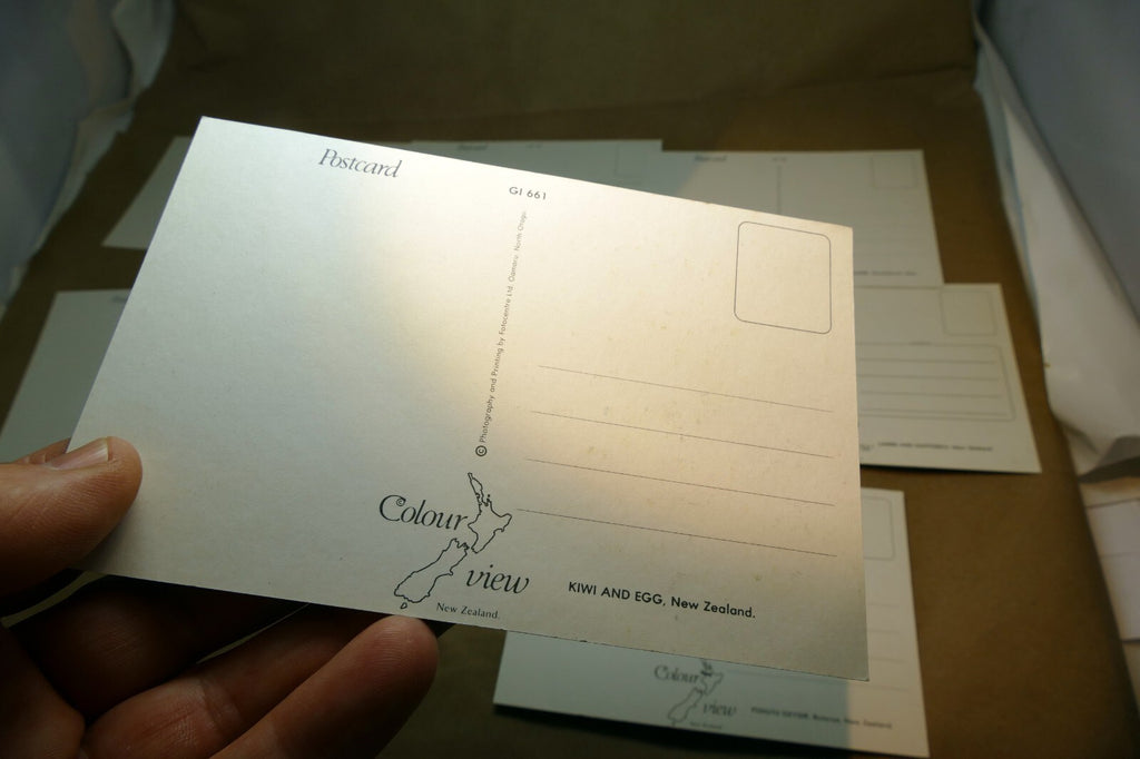 1970-80's Postcard unposted New Zealand Auckland Landscapes kiwi Sheep