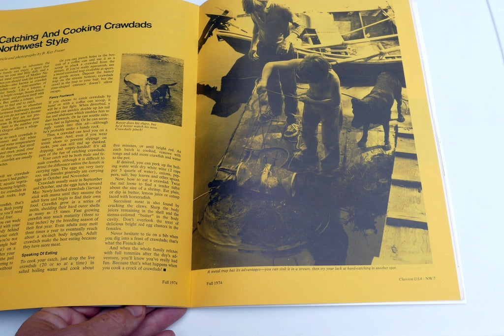 Fall 1974 Chevron USA Travel Club Magazine Elegant Hotels Greases Oils for cars