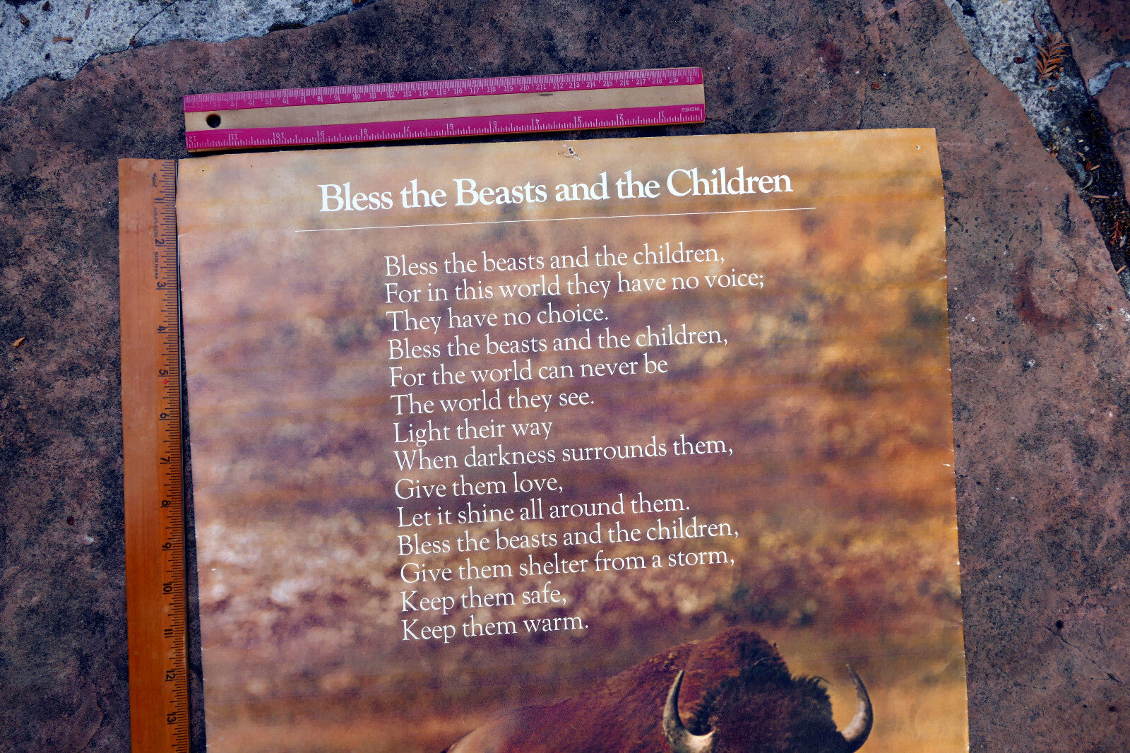 BLESS THE BEAST AND THE CHILDREN Poster with Buffalo Spingbok 1971 wall hanging