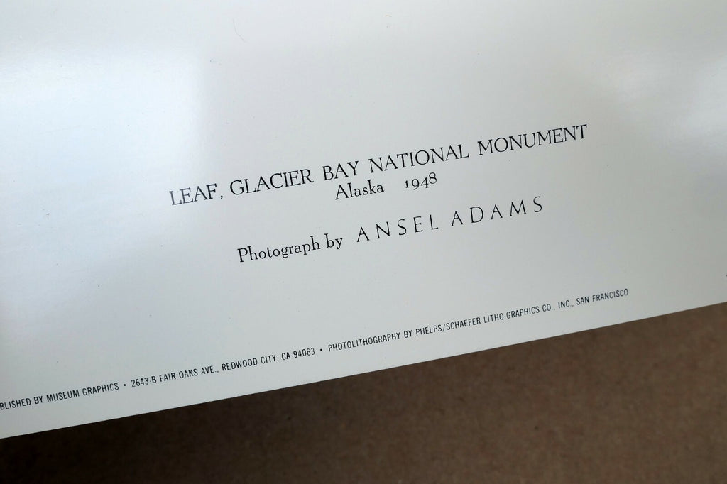 Leaf Glacier Bay National Monument 1948 photo Ansel Adams Greeting Card A-021-75