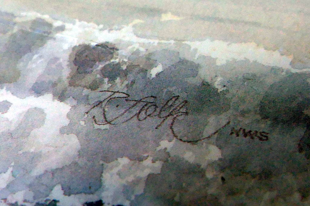 3X18" shorebirds pelicans flying Print R. folk NWS