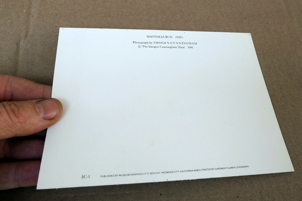 Magnolia Bud 1920 Photograph by Imogen Cunningham POSTCARD IC-1 Floral design