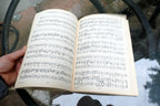 Arien-Album fur Alt Alfred Dorffel Sheet Music 1893 Leipzig  Klavierbegleitung