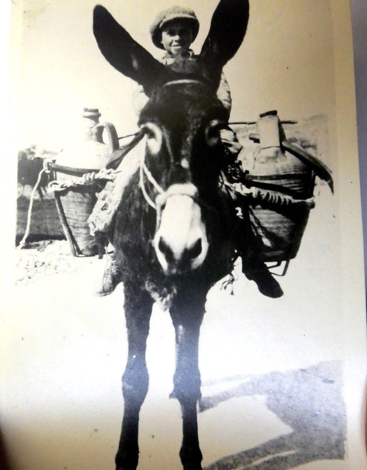 Cartolina postale carte "gevaert" postcard antique taormina italy 1900's unused