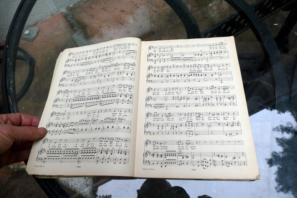 Arien-Album fur Alt Alfred Dorffel Sheet Music 1893 Leipzig  Klavierbegleitung