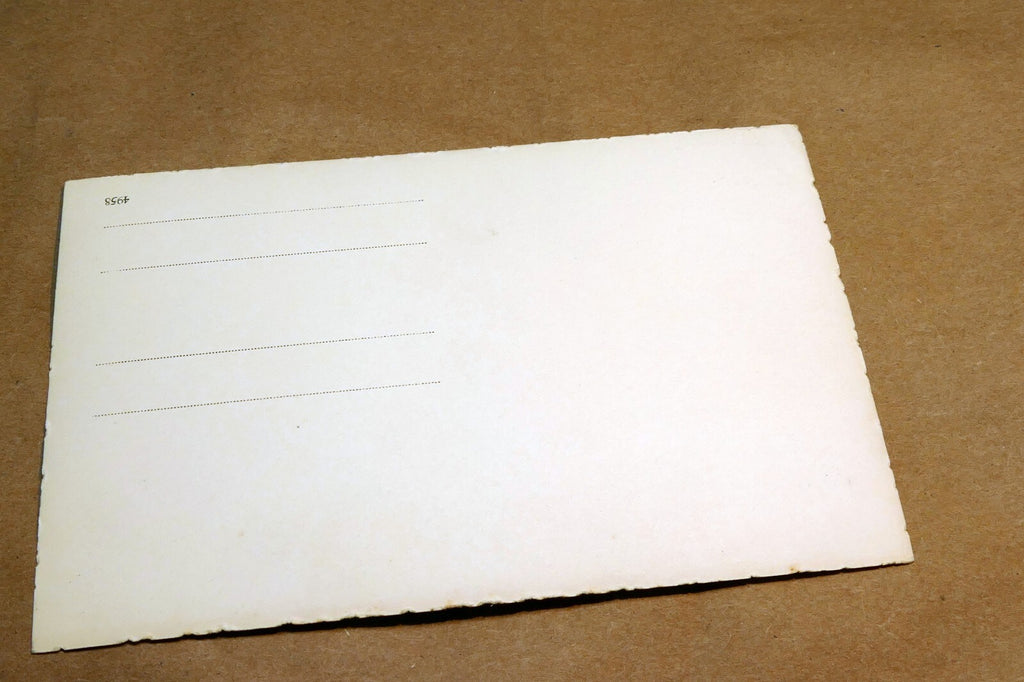 Vienna St. Stephen's Cathedral Wien  1930's postcard Austria - unposted