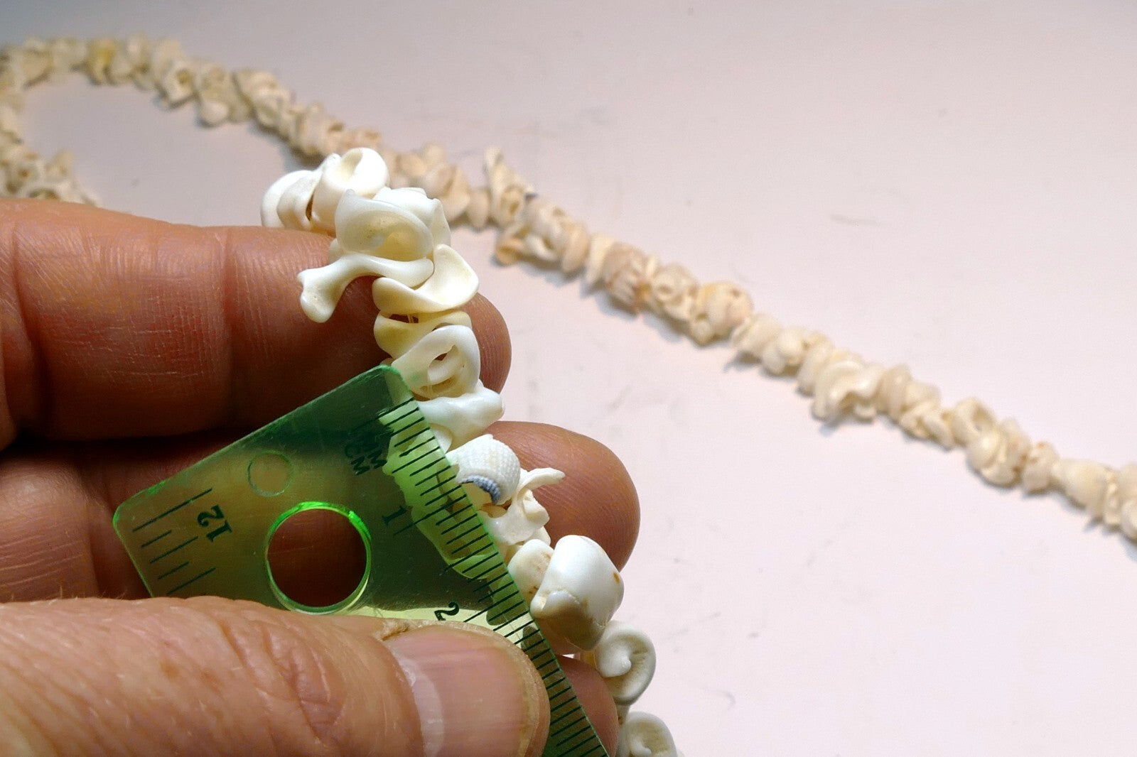 Cowrie Shell 17" Necklace Lei Jewelry Boho Surfer White ocean pacific hawaii