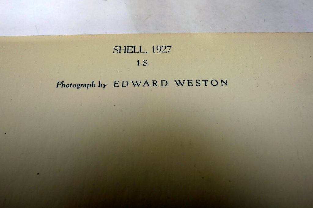 Shells 1927 1-S Photograph by Edward Weston POSTCARD vintage unposted EW-1