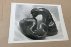 Pepper 5-P 1929 Photograph by Edward Weston Greeting Card unposted EW-005-85