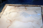 College of Preceptors Diploma year of Lord 1890 Queen Victoria London antique
