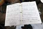 White Bucks and Saddle Shoes Doc Pomus Mort Shuman  1958  Sheet Music