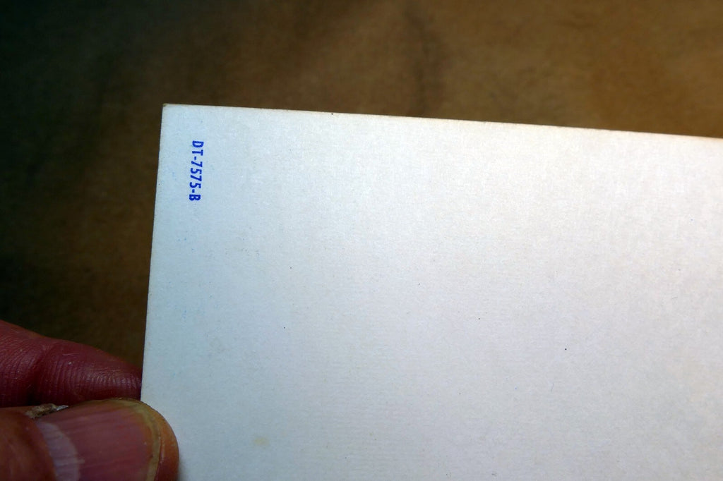 Comic Postcard~ Tony Roy~ Spotted Us As Tourist~ DT-7575-B 1970's