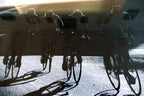Photo picture cyclist black and white going uphill hanging wall art 13x16" frame