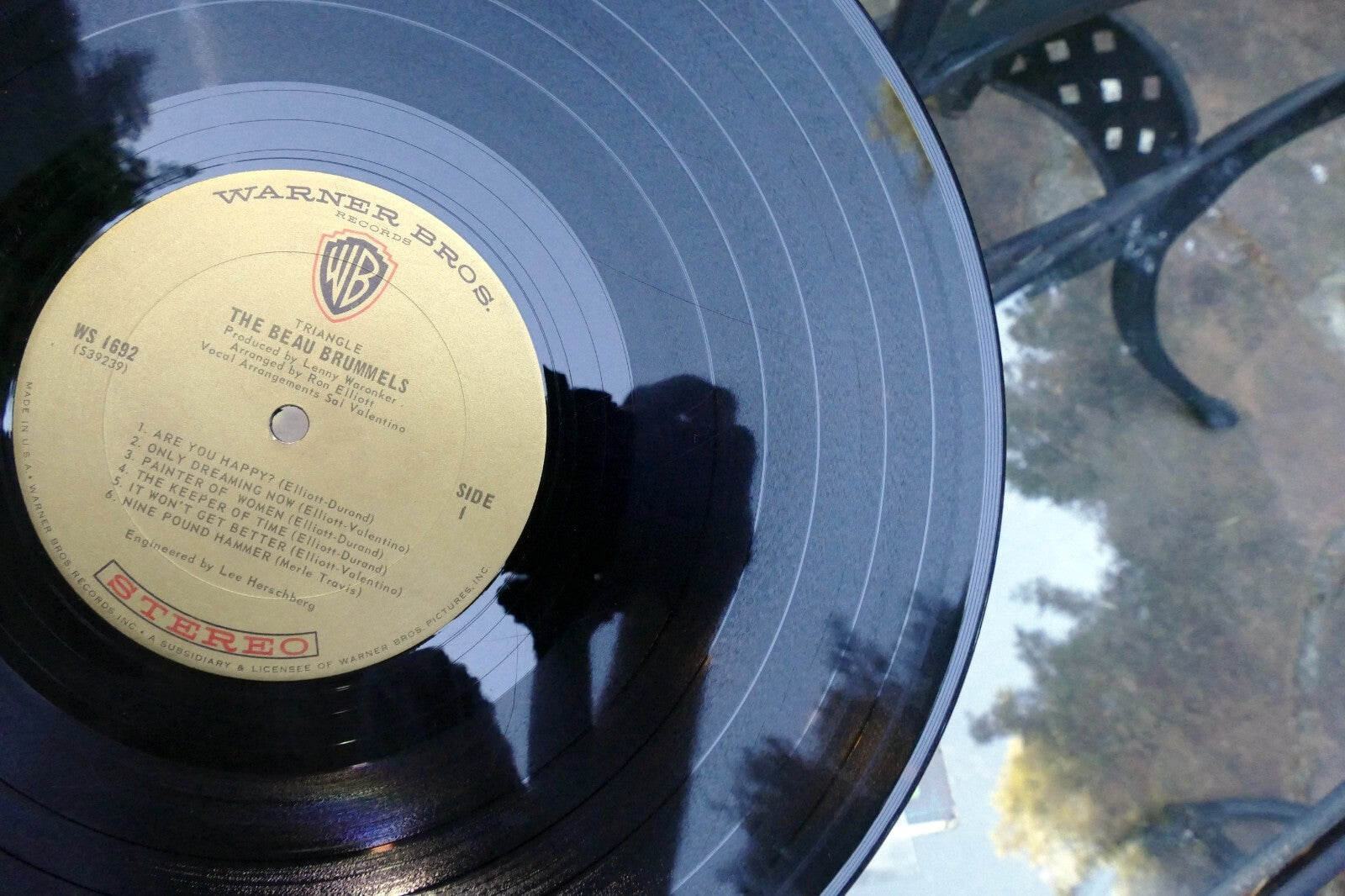 Original The Beau Brummels Triangle LP Album 1967 Warner Bros WS 1692
