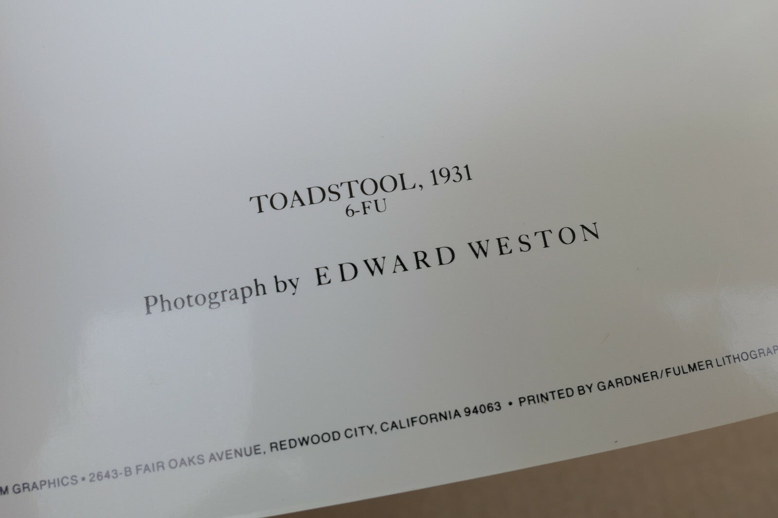 Toadstool 1931 6-FU Photograph by Edward Weston greeting card unposted W-004-75