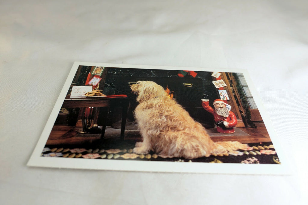 Get Well Postcard Animal Shelter North Shore League Dog with Santa Cookies 1980s