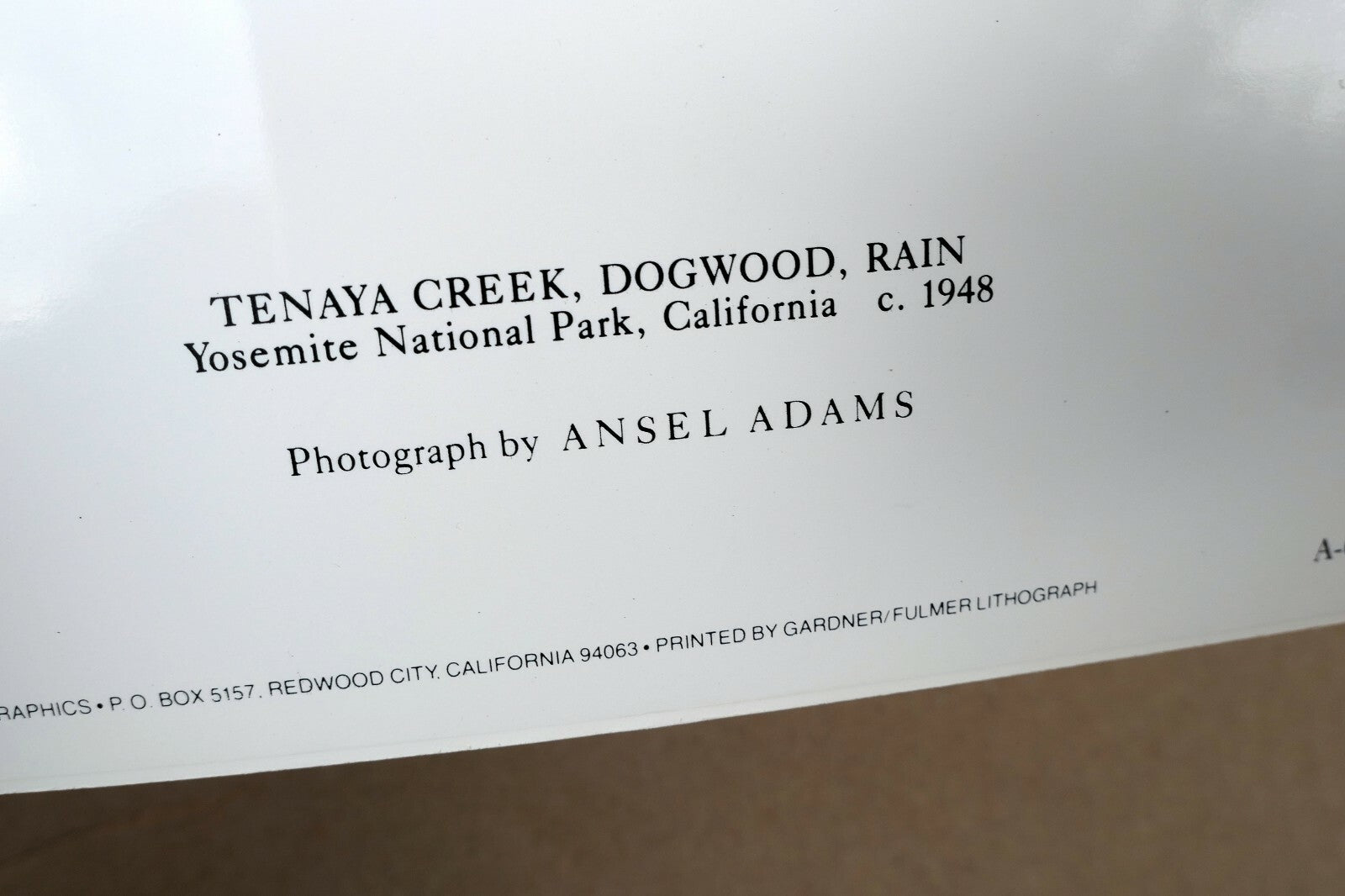 Tenaya Creek Dogwood Rain 1948 photograph by Ansel Adams Greeting Card A-034-85