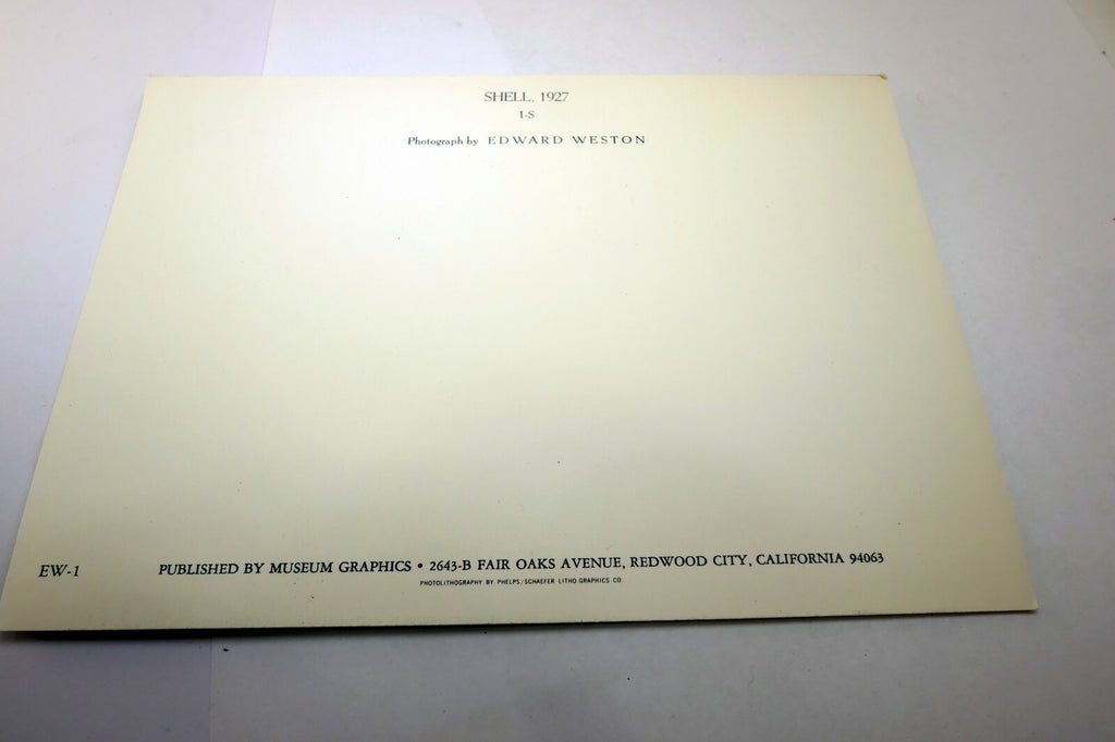 Shells 1927 1-S Photograph by Edward Weston POSTCARD vintage unposted EW-1