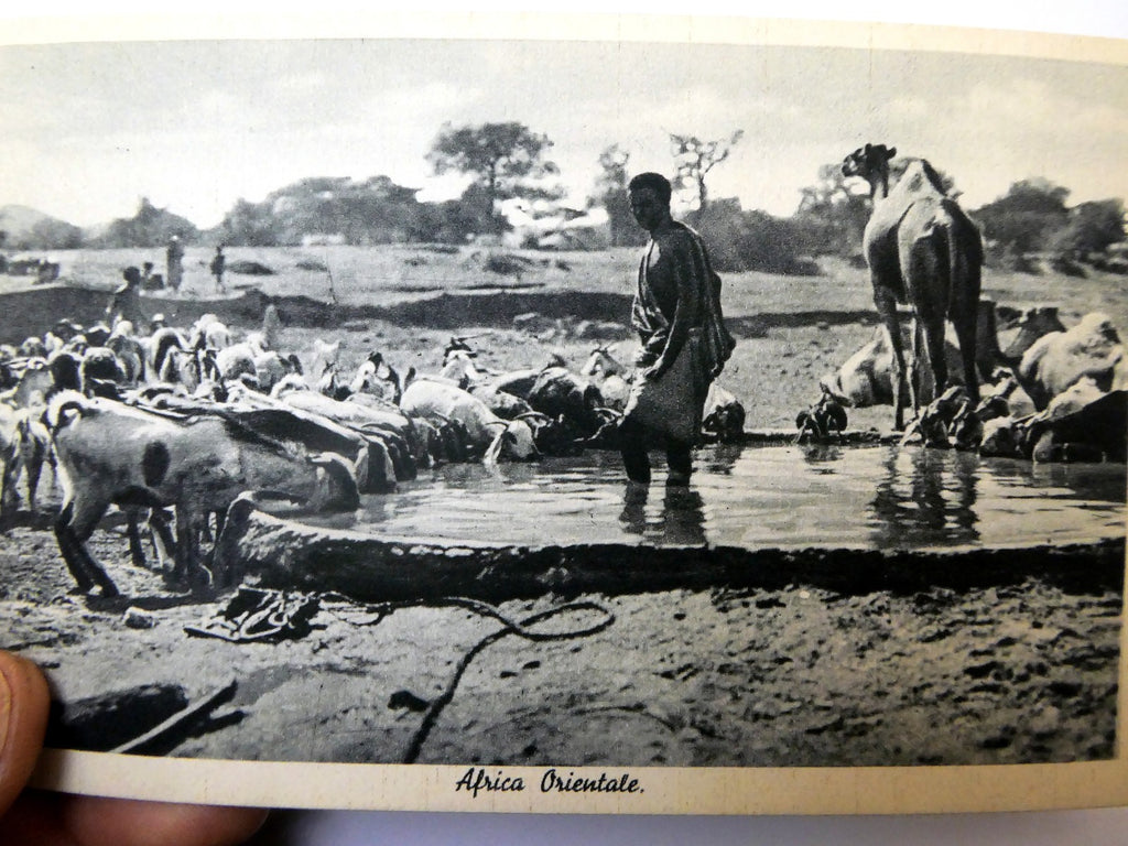 Post Card Cartolina Postale Africa Orientale unused Unposted 1900's