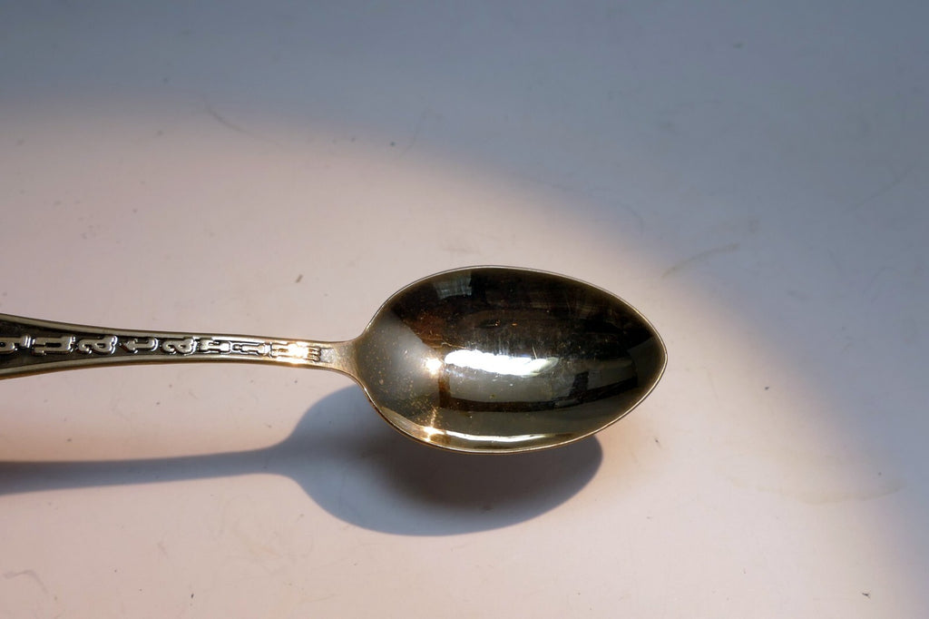 Aquatarium Aquarium Souvenir Spoon Dolphin Steel Collectible Vancouver Aquarium