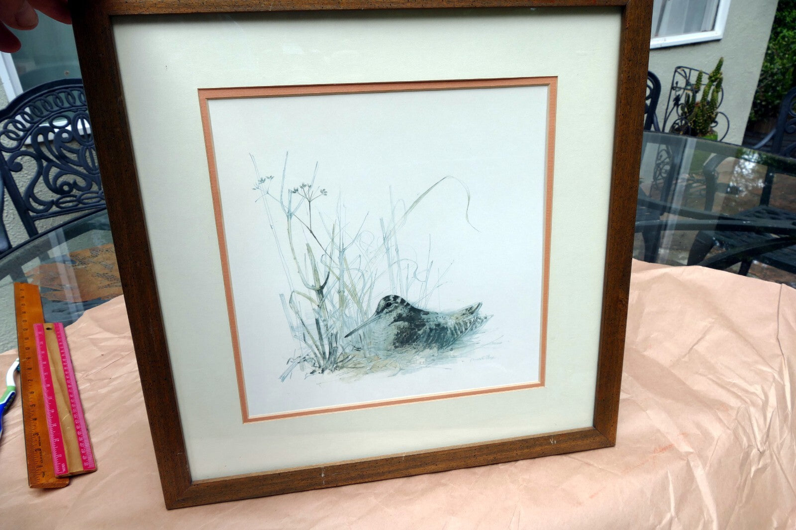 Mads Stage Framed Print Common Snipe bird nesting 11X11" signed