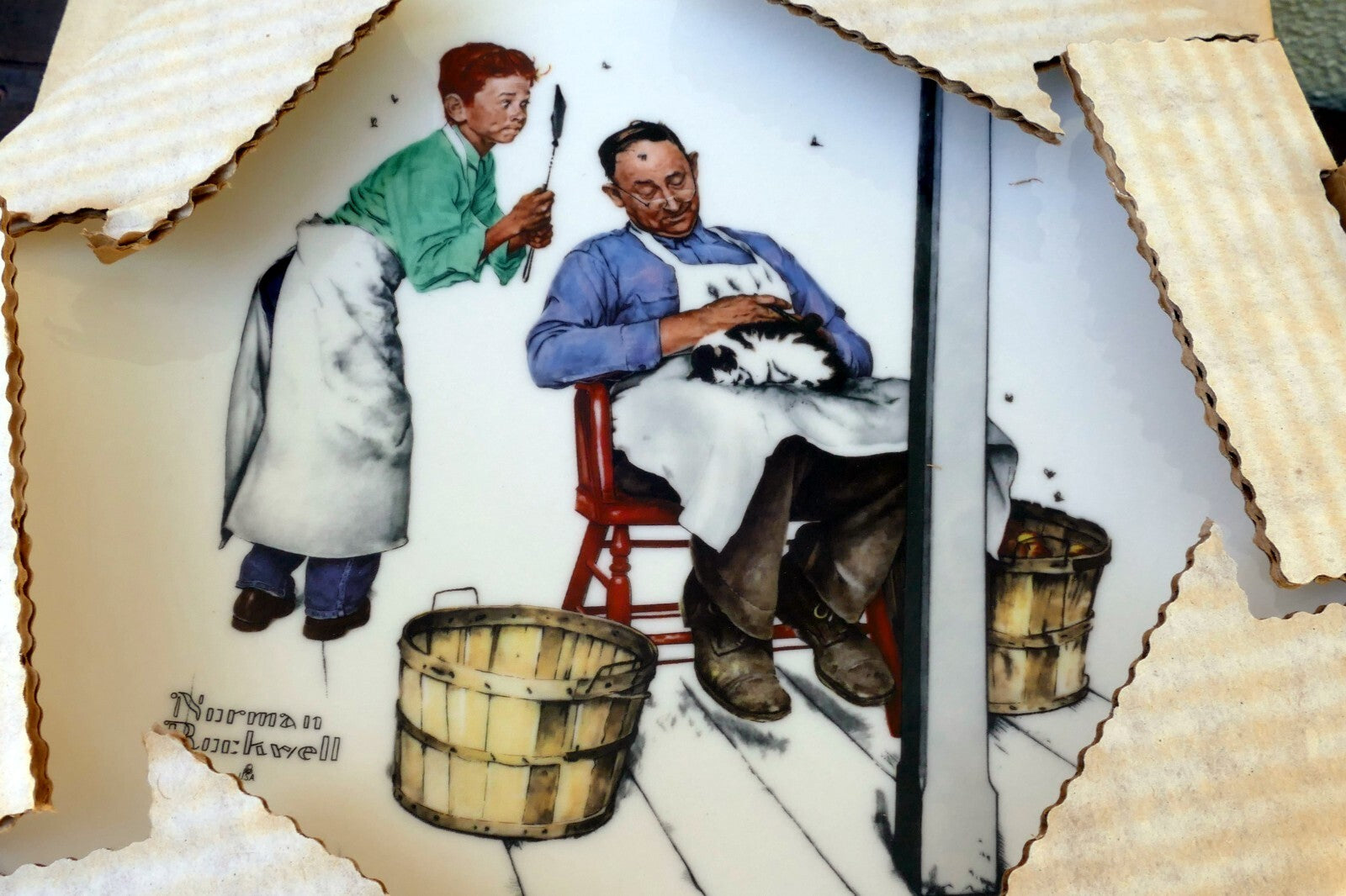 Norman rockwell 10.5” plate 1979 "a helping hand" summer swatter's rights