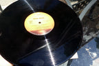 Orson Welles - The Begatting of The President Vinyl LP Album Mediarts 41-2