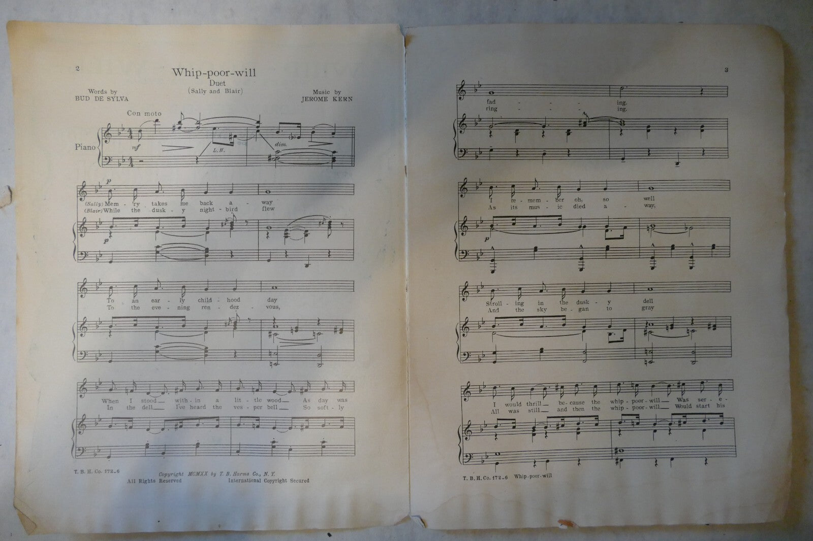 Whip-Poor-Will, 1920, from "Sally" musical, by Jerome Kern and Edward Royce