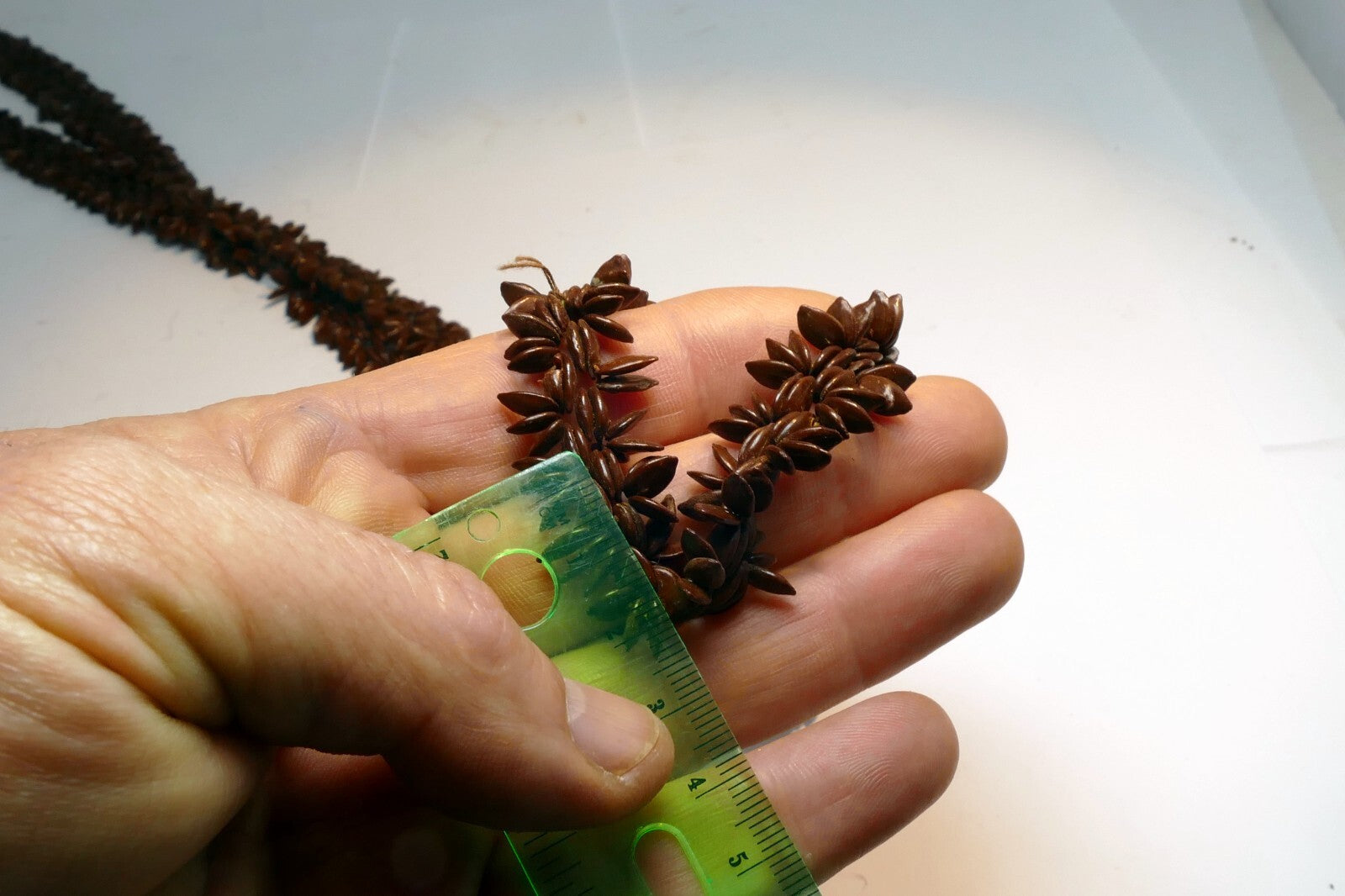 Brown Hawaiian Koa Seed Lei Single Strand Necklace 24" Boho Jewelry