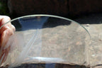 Glass Bowl Crystal Clear  Lilies Etched Frosted 6.5" Flowal Design Depression