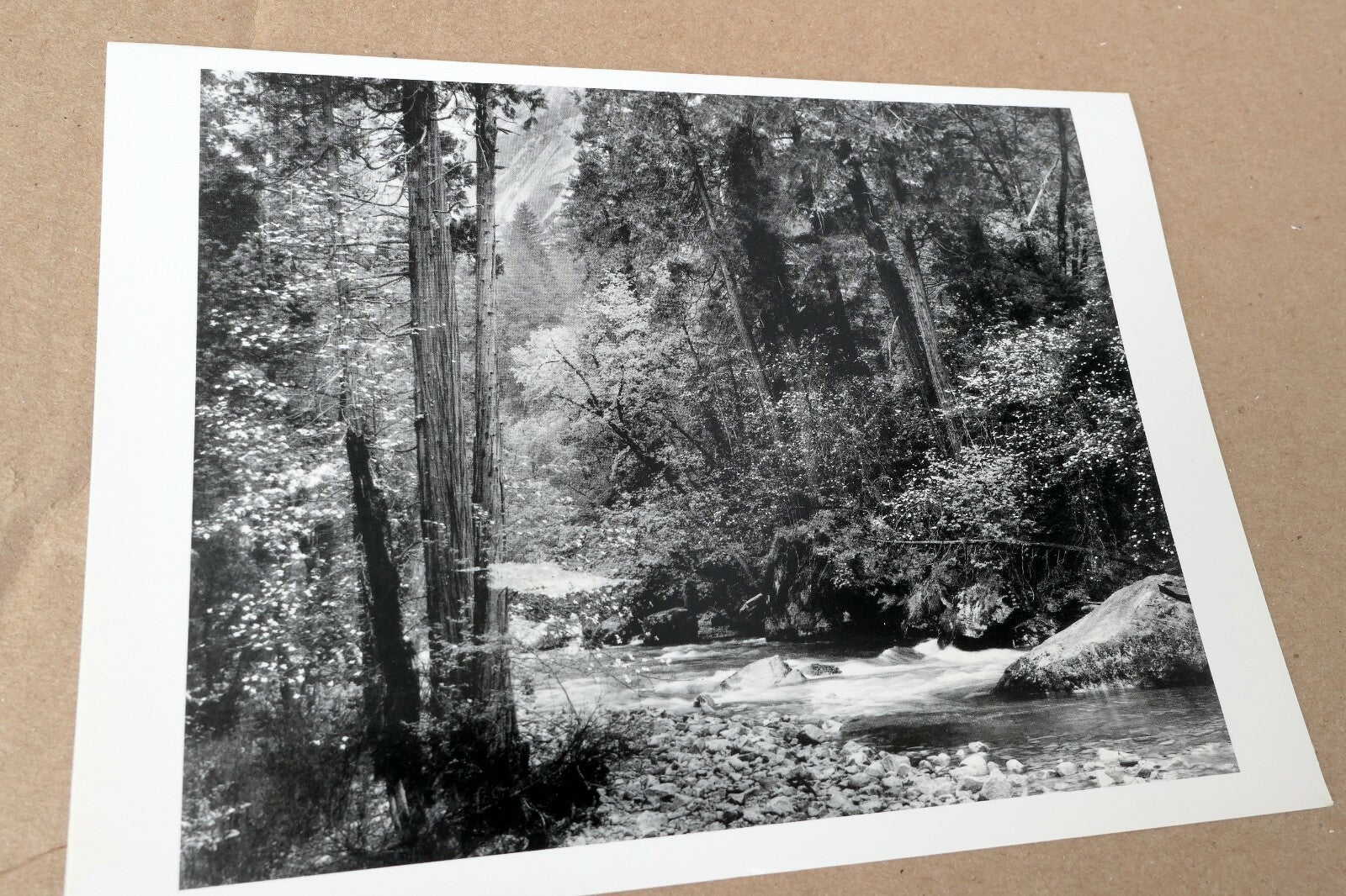 Tenaya Creek Dogwood Rain 1948 photograph by Ansel Adams Greeting Card A-034-85