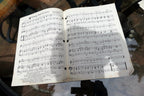 Young and in Love by Bob Sherman Roberts  sheet music 1957
