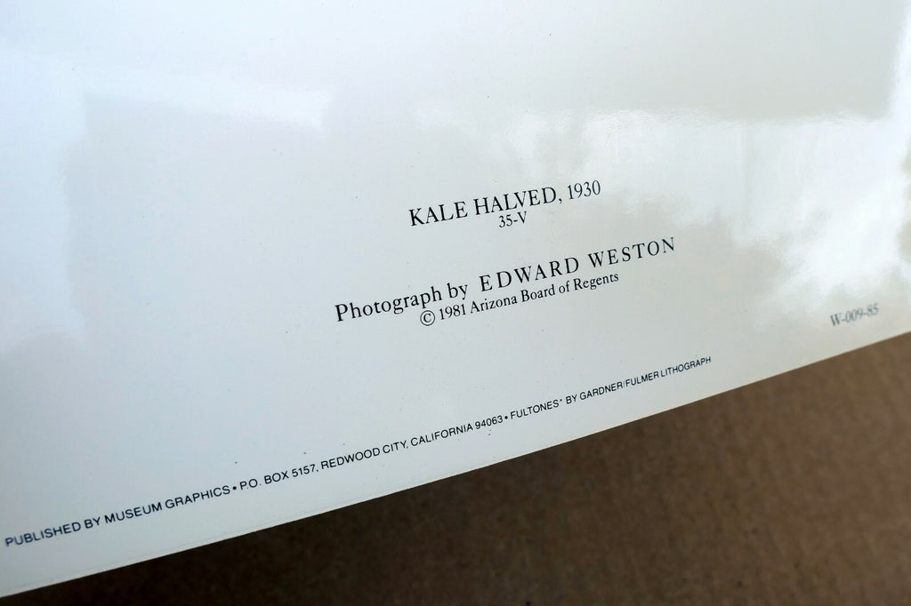 Kale Halved 1930 Photograph by Edward Weston greeting card W-009-85 35-V