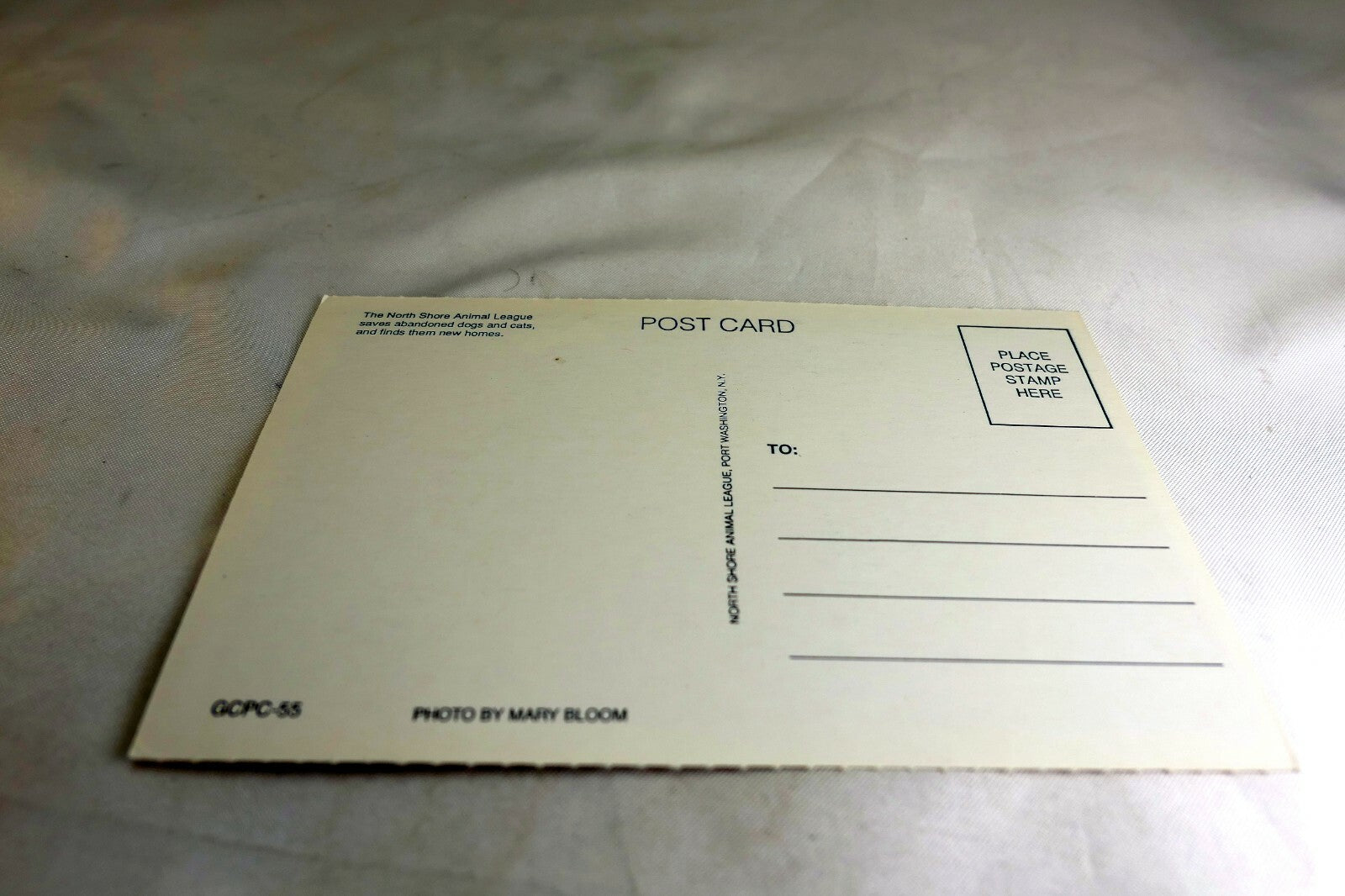 Get Well Postcard Animal Shelter North Shore League Child and Dog on Beach Sunny