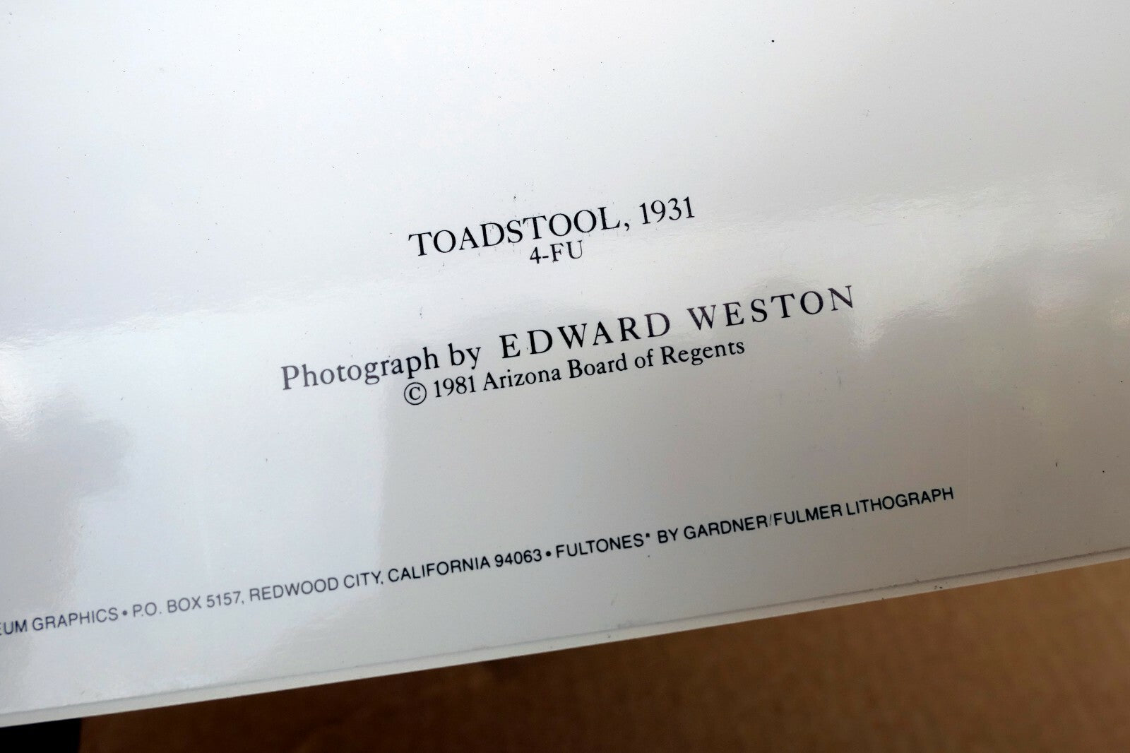 Toadstool 1931 4-FU Photograph by Edward Weston greeting card W-008-85