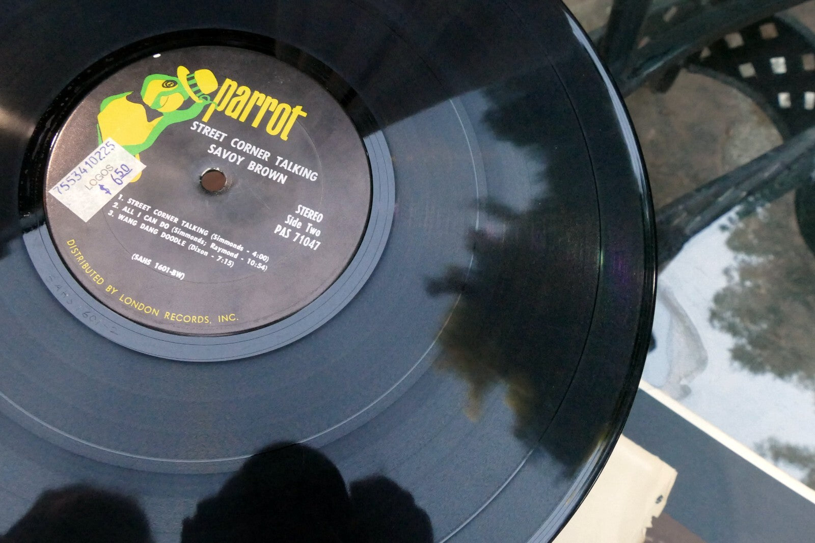 Savoy Brown Street Corner Talking USA 12” Vinyl Parrot – PAS-71047 SAHS-1600-TH