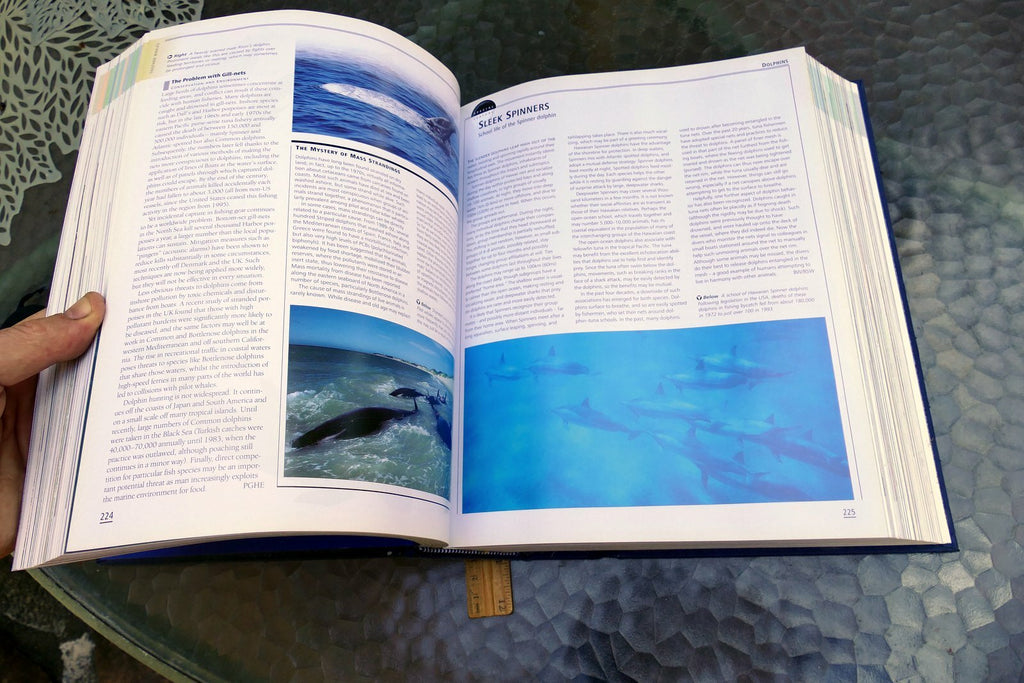 The New Encyclopedia of Mammals by David Macdonald Sasha Norris 2006 hardcover