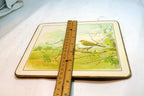 Bird Placemat  mat 7X8" by M. Spencer Birds - vintage