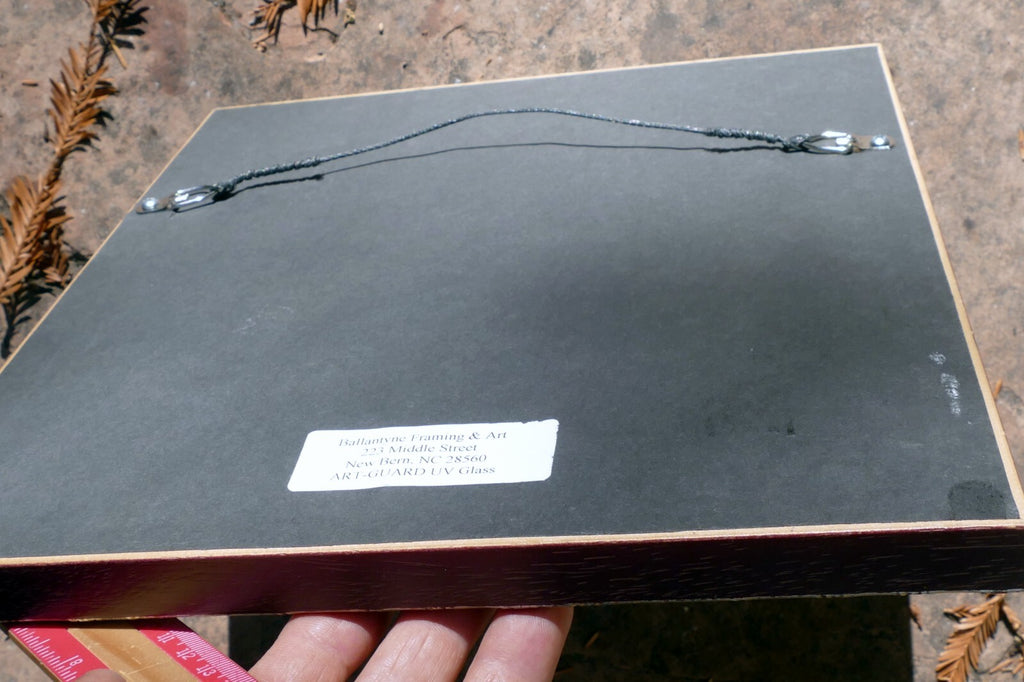 Basilius Besler TULIPA MINIATA PLENO FLORE FRAMED MATTED ART PRINT Tulip