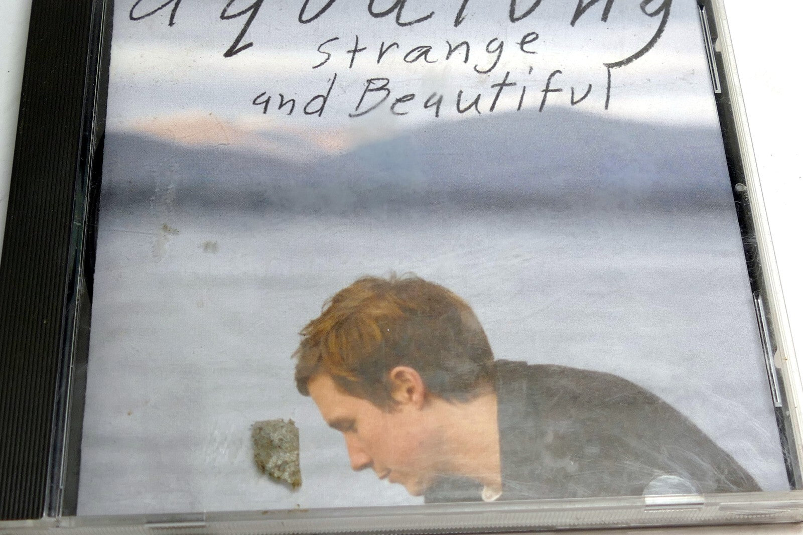 Strange and beautiful by aqualung music cd disc 2005 sony bmg wk 23888