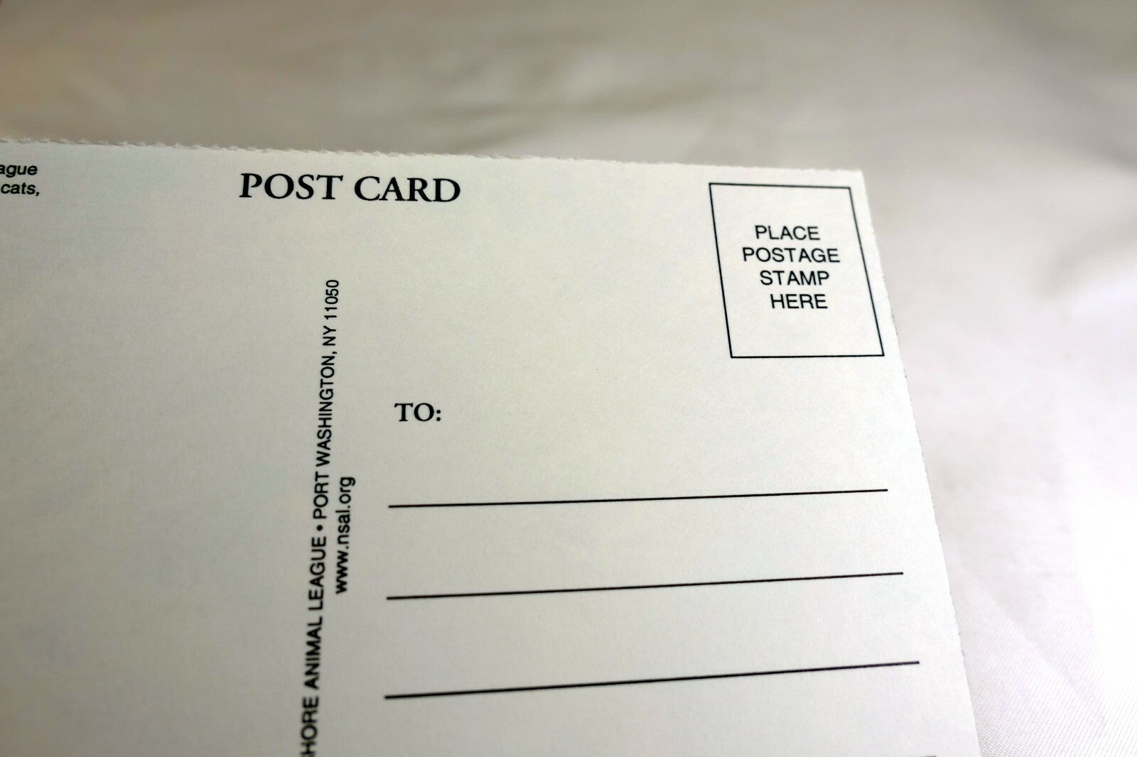 Greeting Postcard Animal Shelter North Shore League Dog Puppy adopt a pet! 1980'