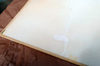 original artwork by artist  Rodeo Rider by Dick Rienstra Lithograph 10X20"