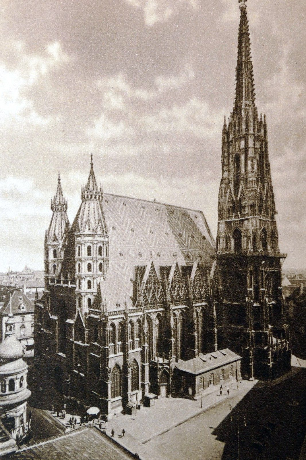 Wien stephansdom st. stephen's cathedral postcard austria 1930's   unposted