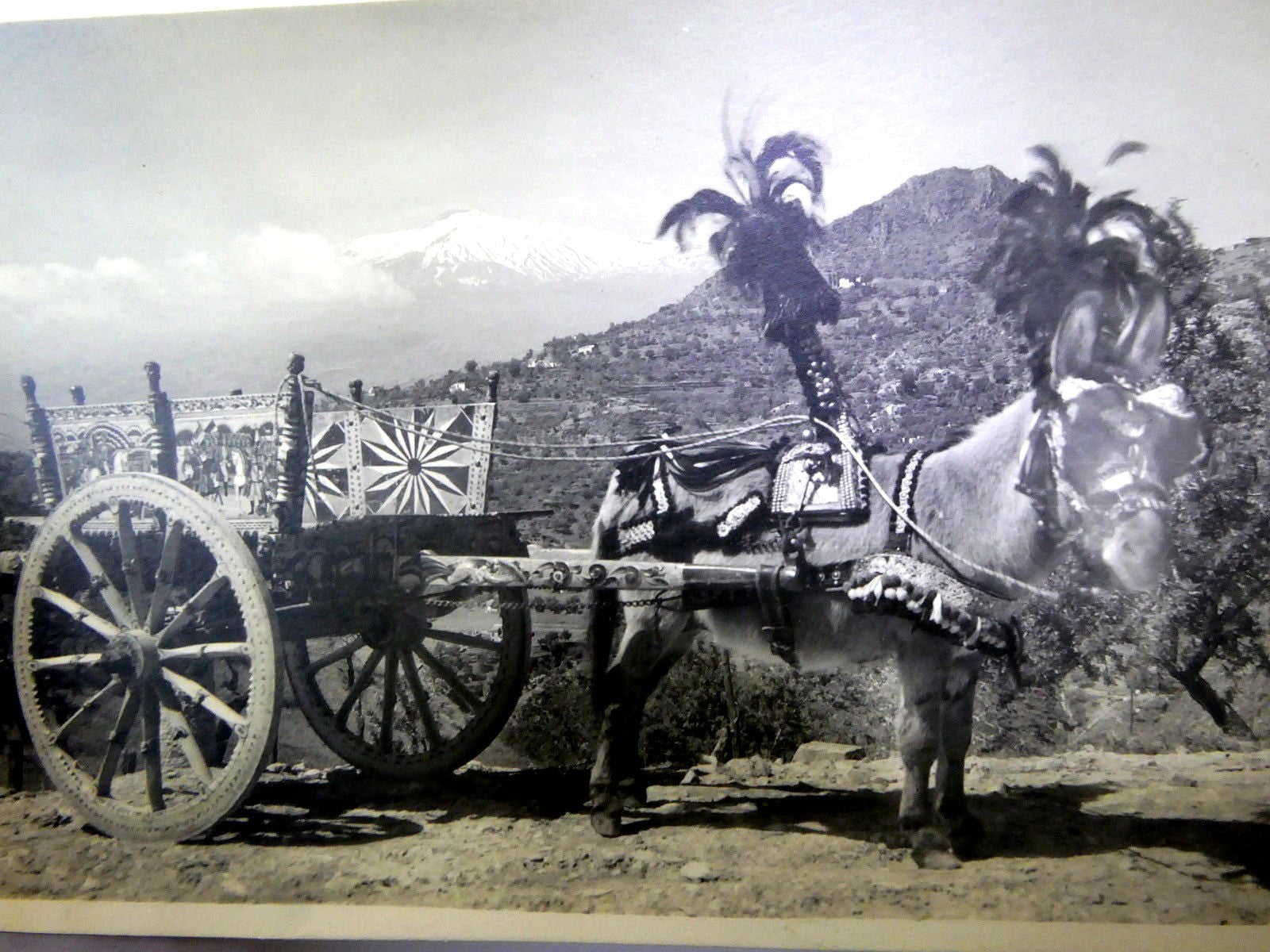 Cartolina postale carte vista postcard antique taormina italy 1900's unused