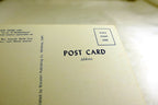 Red Aloe Shore Line Landscape Pacific Grove California USA Postcard 1970's