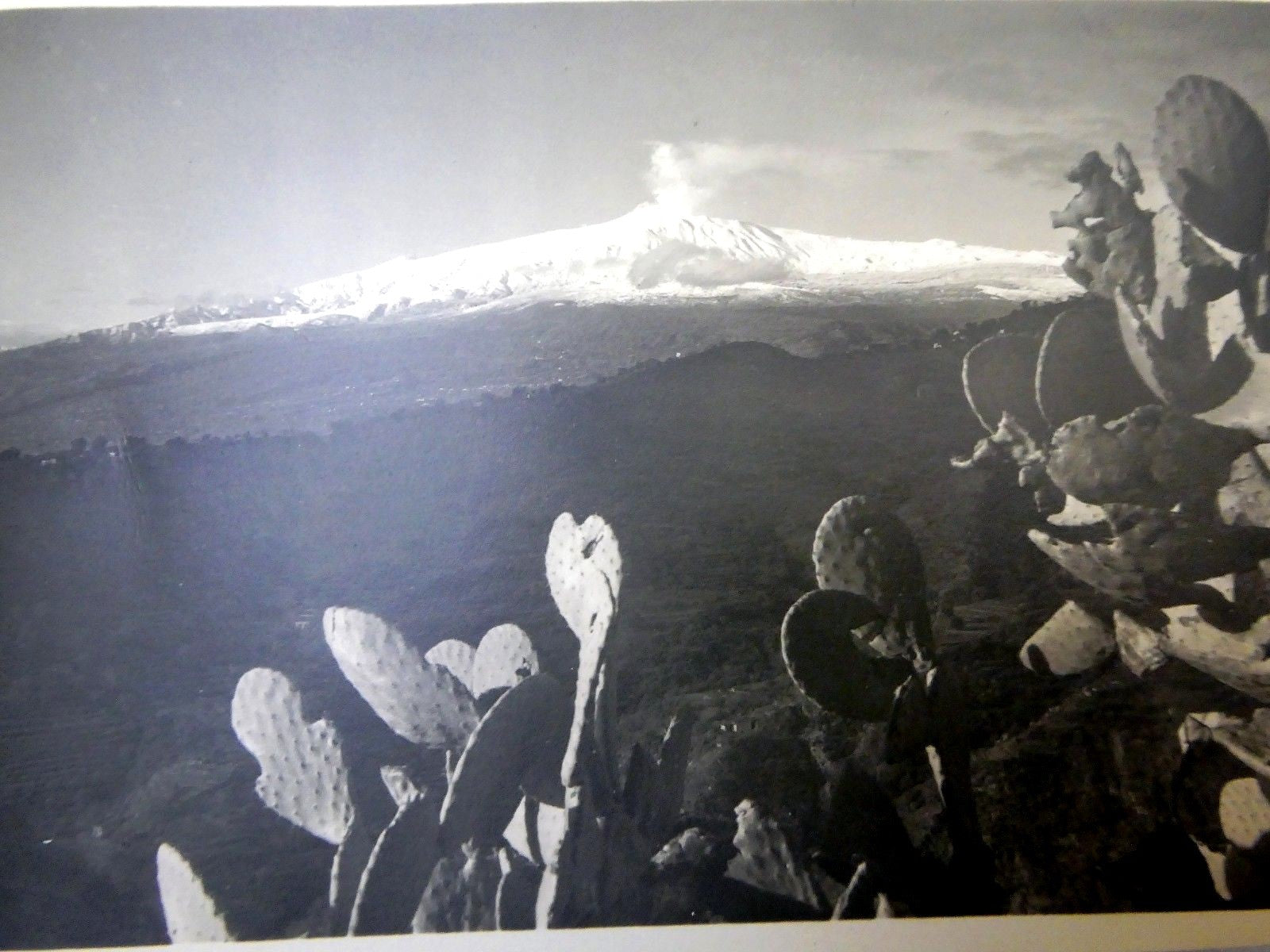 Cartolina postale carte "gevaert" postcard antique taormina italy 1900's unused