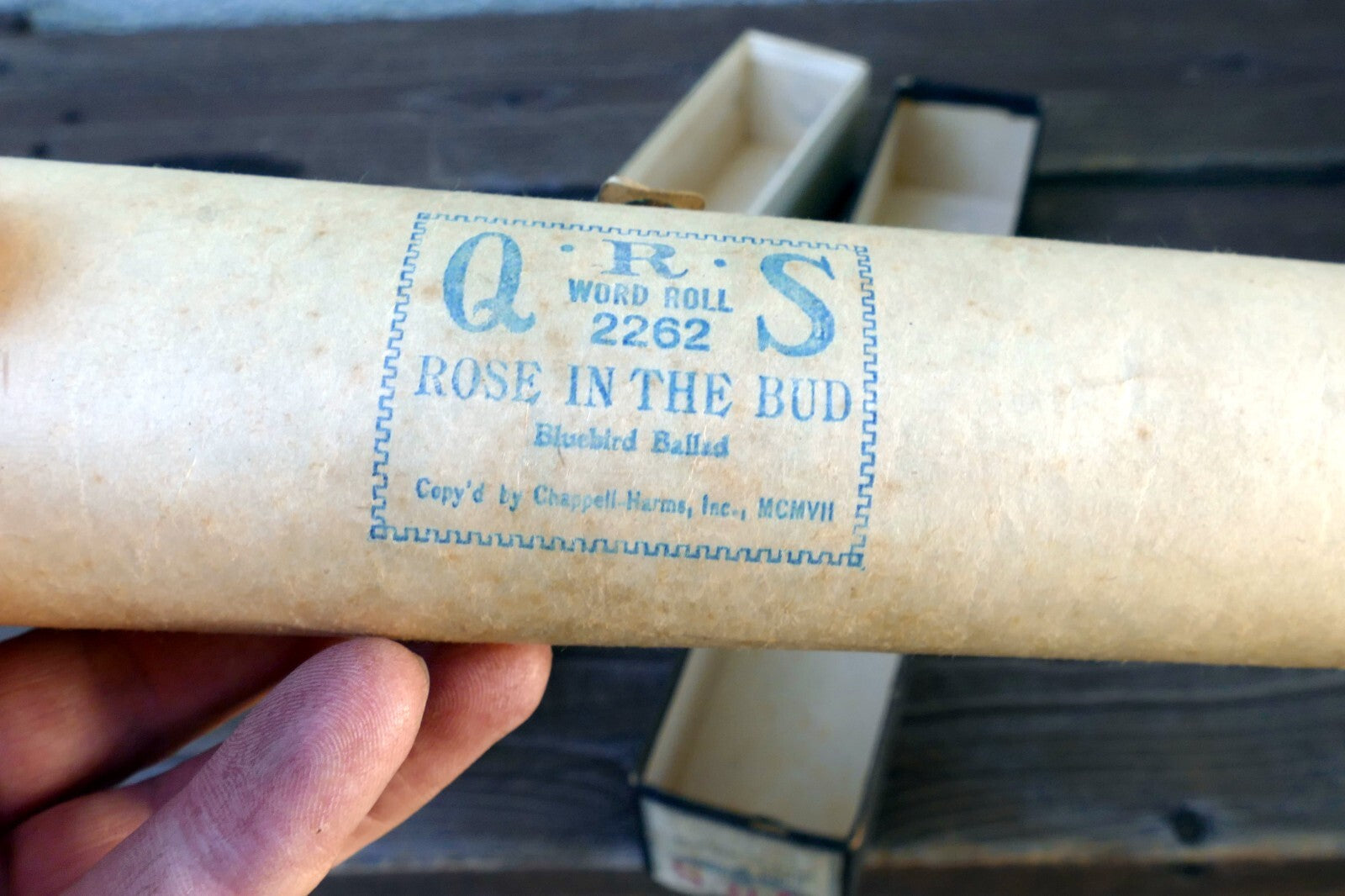 QRS Word Roll Blue Bird Ballads 2262 Rose in the Bud