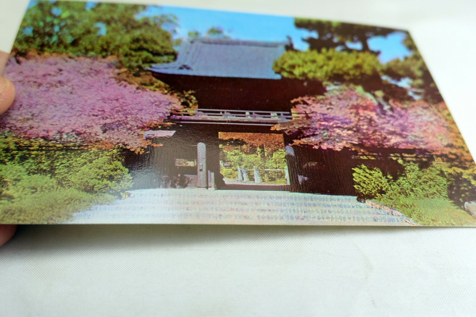 Japanese Tea Garden San Francisco  California USA Postcard 1970's